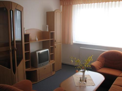 Apartmenthotel-Harz Friedrichsbrunn Esterno foto